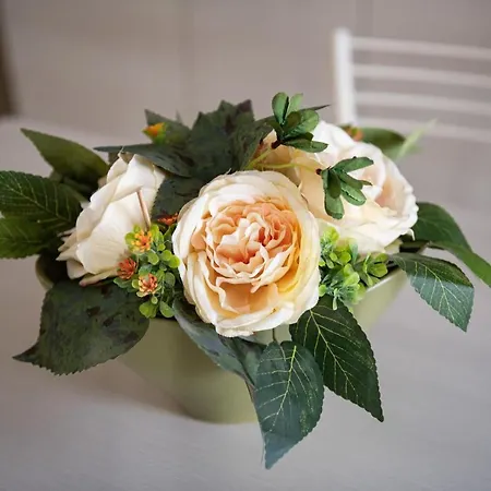 Casa Di Stefania Apartmán *