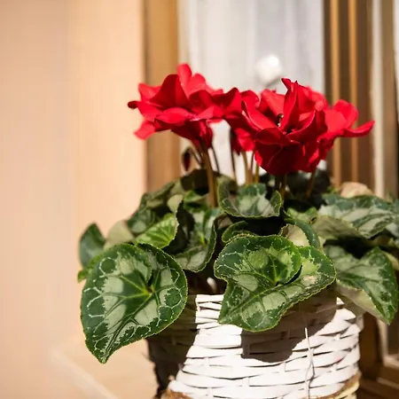 Apartmán Casa Di Stefania