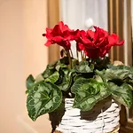 Appartamento Casa Di Stefania